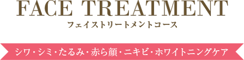 フェイストリートメントコース シワ・シミ・たるみ・赤ら顔・ニキビ・ホワイトニングケア