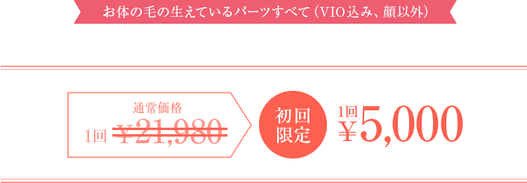 お体の毛の生えているパーツすべて（VIO込み、顔以外） 初回限定 1回5,000円