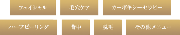 フェイシャル、毛穴ケア、カーボキシーセラピー、ハープピーリング、背中、脱毛、その他メニュー